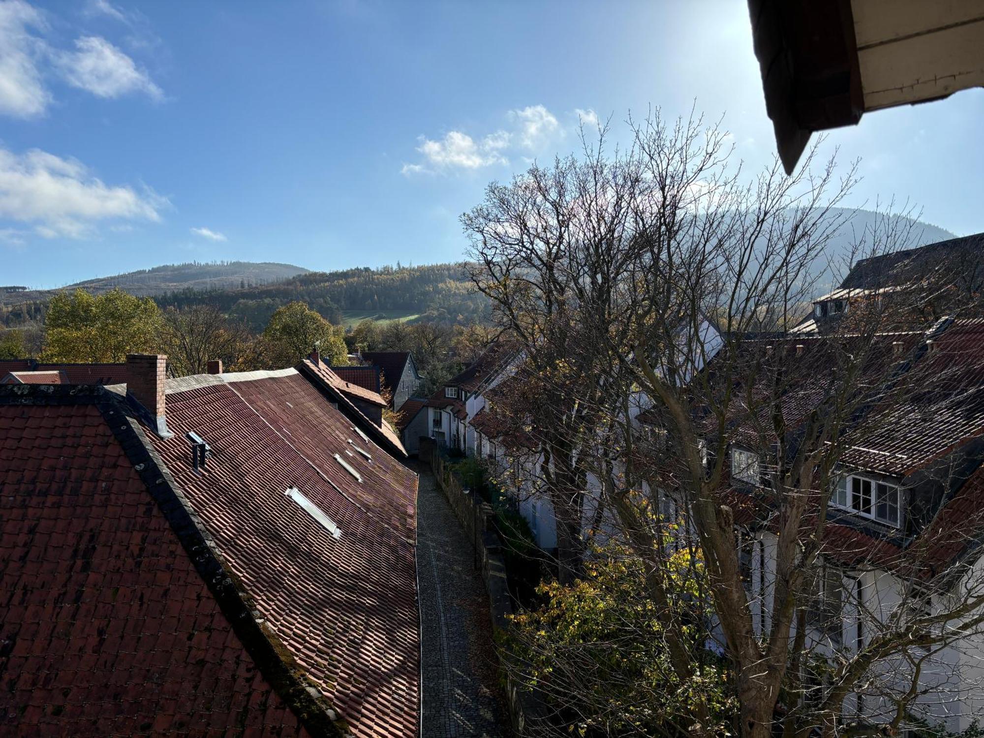 Hygge Living - Neu - Grosse Hochwertige - Hundefreundlich - Inmitten Der Altstadt